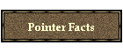 Pointer Facts